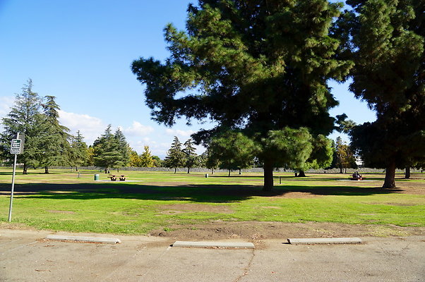 Woodley.Park.Sec.1.Green.05