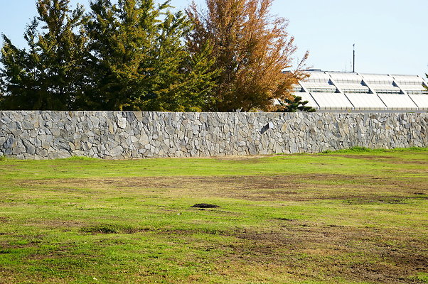 Woodley.Park.Sec.1.Green.45