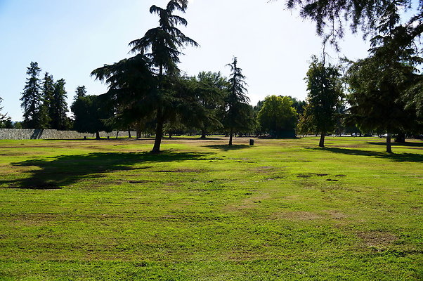 Woodley.Park.Sec.1.Green.36