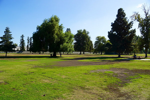 Woodley.Park.Sec.1.Green.13