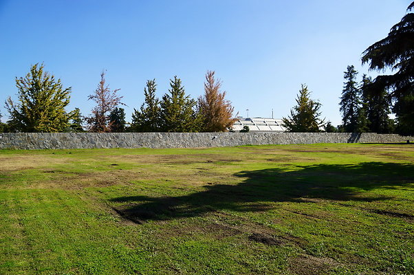 Woodley.Park.Sec.1.Green.34