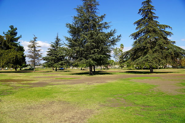 Woodley.Park.Sec.1.Green.18