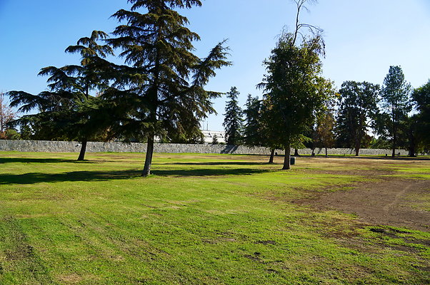 Woodley.Park.Sec.1.Green.25