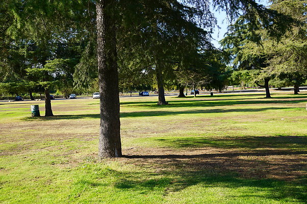 Woodley.Park.Sec.1.Green.48