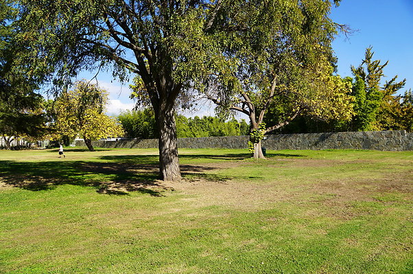 Woodley.Park.Sec.1.Green.38