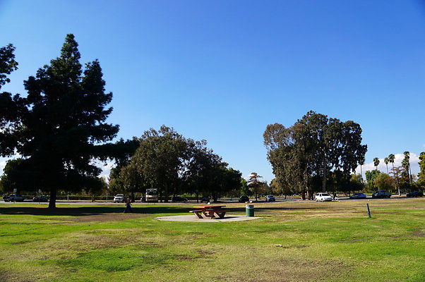 Woodley.Park.Sec.1.Green.21