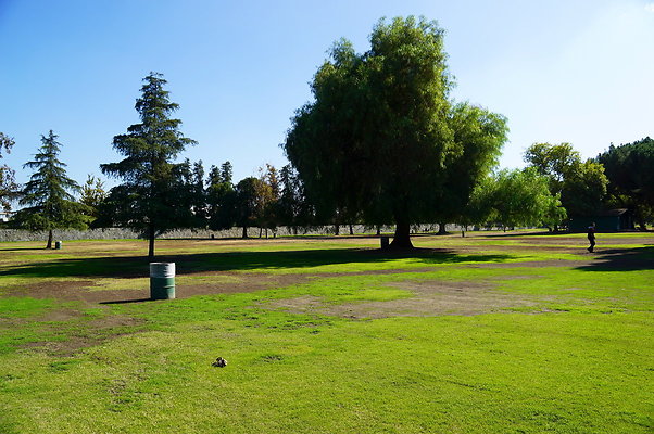 Woodley.Park.Sec.1.Green.14