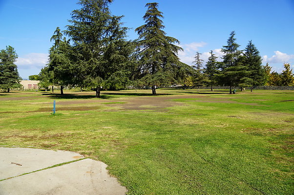 Woodley.Park.Sec.1.Green.11