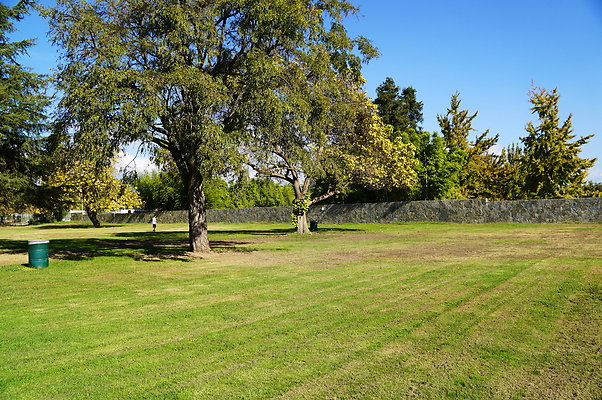 Woodley.Park.Sec.1.Green.32