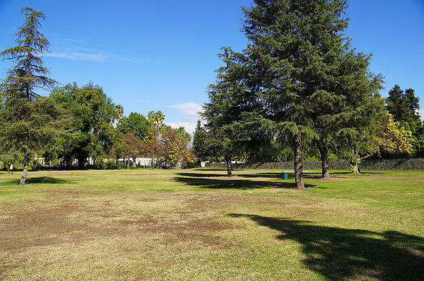 Woodley.Park.Sec.1.Green.26