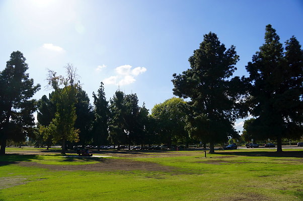 Woodley.Park.Sec.1.Green.20