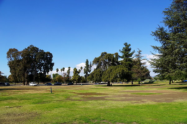 Woodley.Park.Sec.1.Green.22
