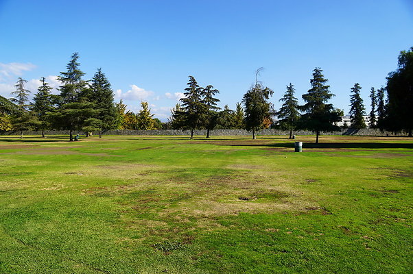 Woodley.Park.Sec.1.Green.12