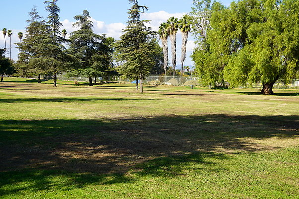 Woodley.Park.Sec.1.Green.49
