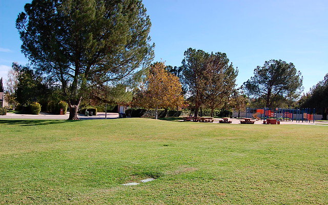 DSC 0224