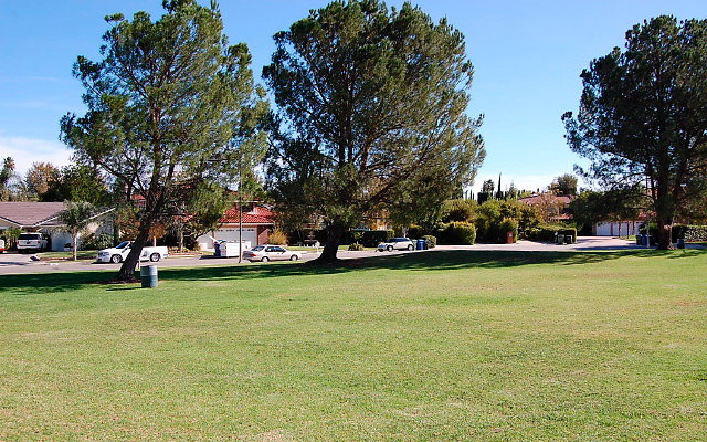 DSC 0216