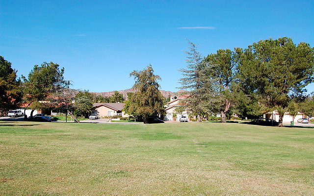 DSC 0211