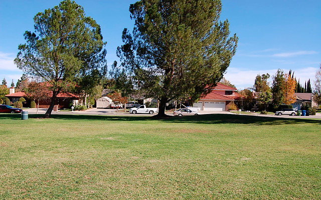 DSC 0223