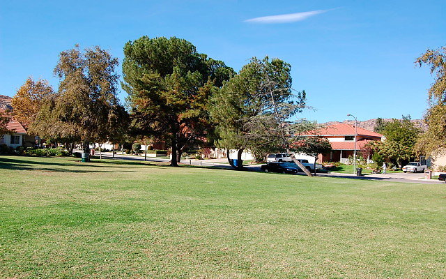 DSC 0230