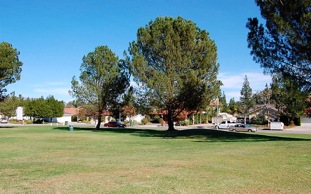 DSC 0212