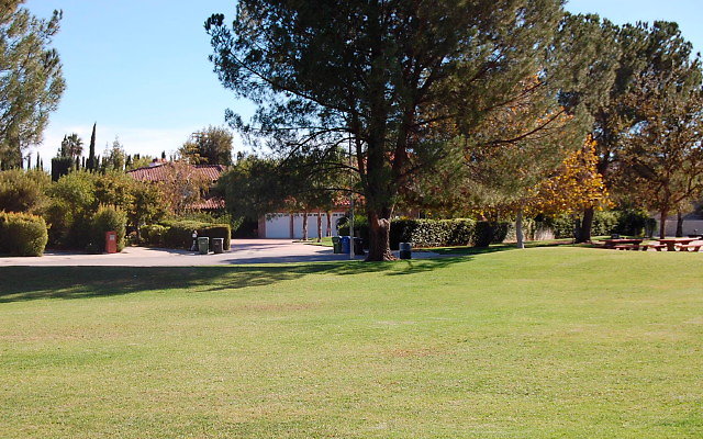 DSC 0219