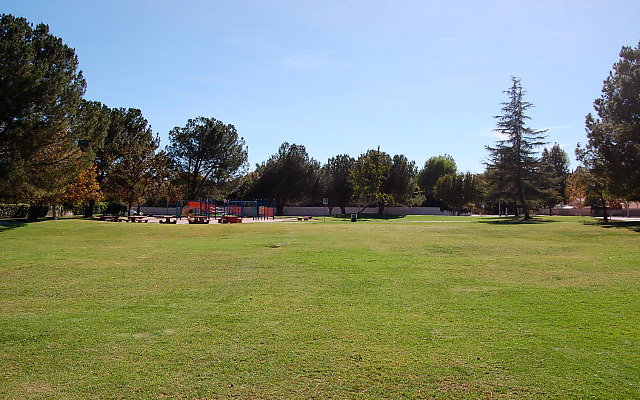 DSC 0217