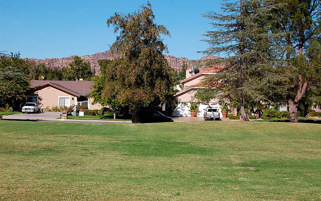 DSC 0214
