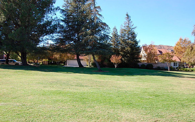 DSC 0229