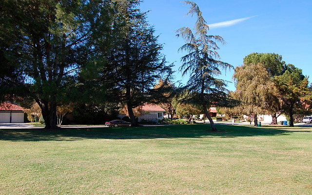 DSC 0210
