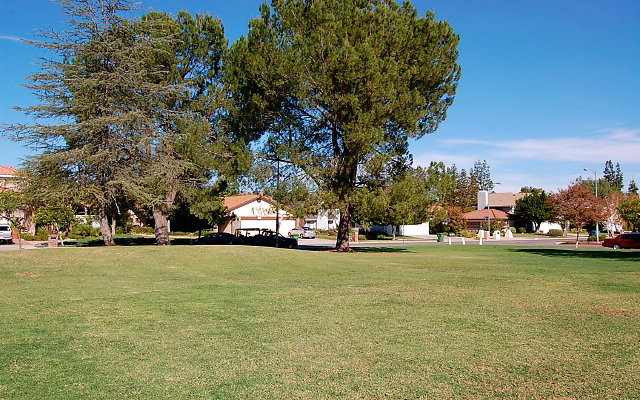 DSC 0222