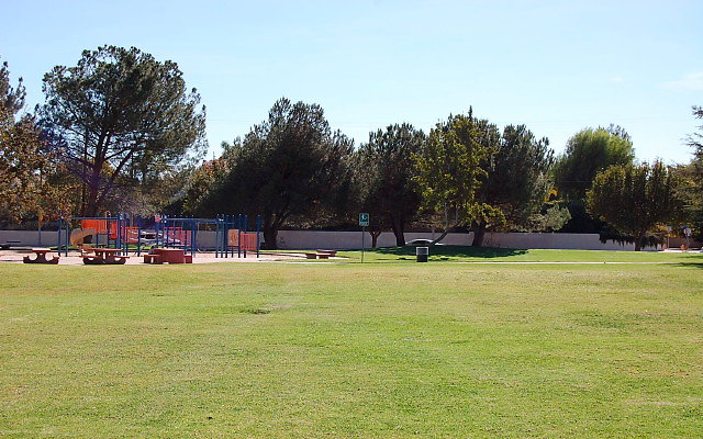 DSC 0220
