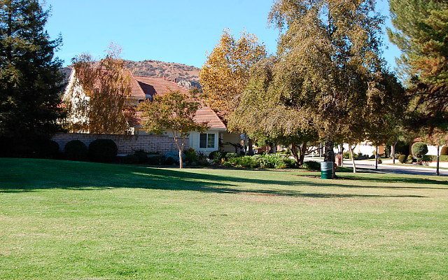 DSC 0233