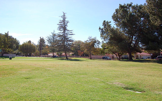 DSC 0228