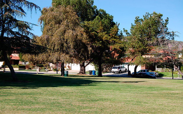 DSC 0213