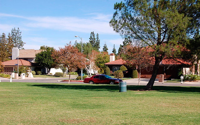 DSC 0225