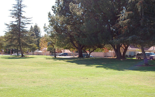 DSC 0221