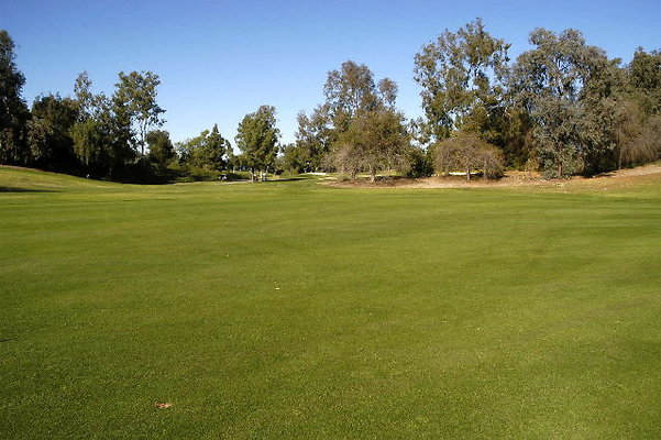 Ike 10th Fairway.04