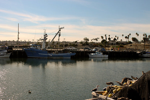 IMG 5524-2