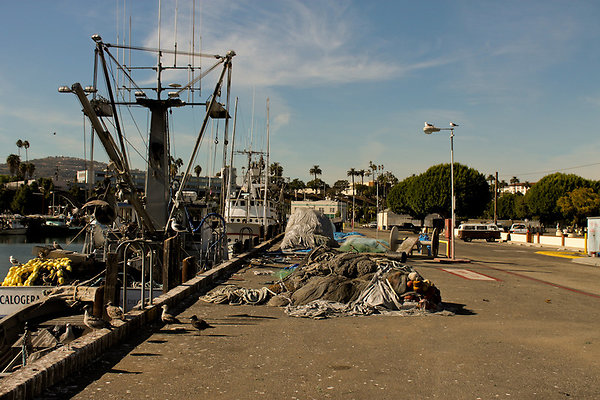 IMG 5534-2