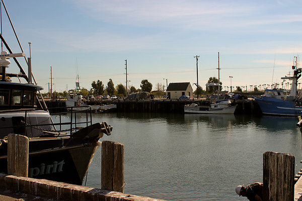 IMG 5529-2