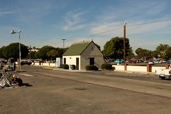 IMG 5535-2