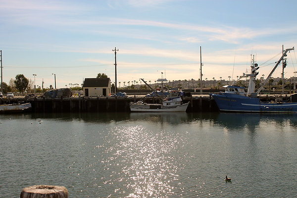 IMG 5523-2