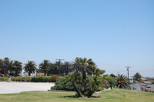 DSC 0040