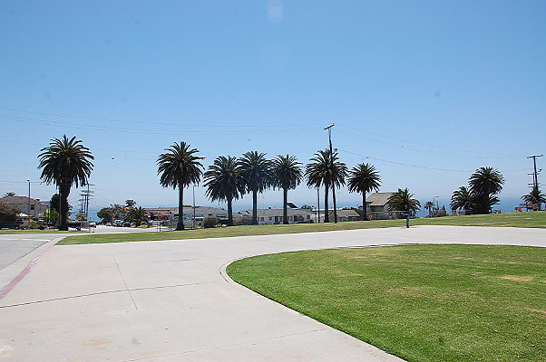 DSC 0002