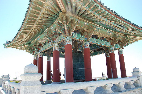 DSC 0045a