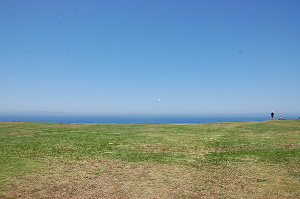DSC 0020