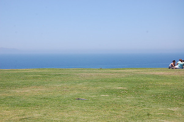 DSC 0050
