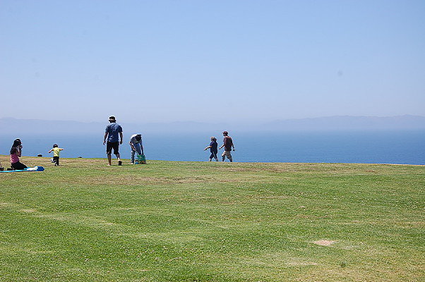 DSC 0049