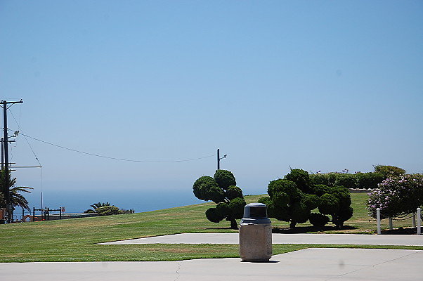 DSC 0005