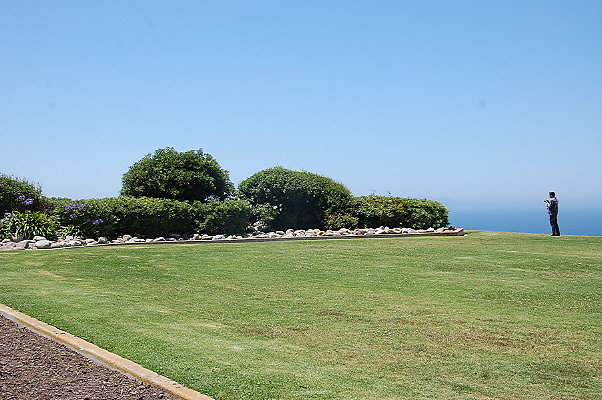 DSC 0022